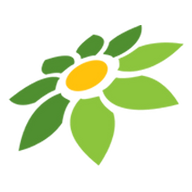 INSTAGRAM ICON VECTOR